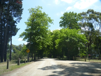 The road towards Seawinds Gardens